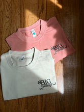 Load image into Gallery viewer, Feel It All - Salmon T-Shirt