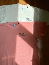 Load image into Gallery viewer, Feel It All - Salmon T-Shirt