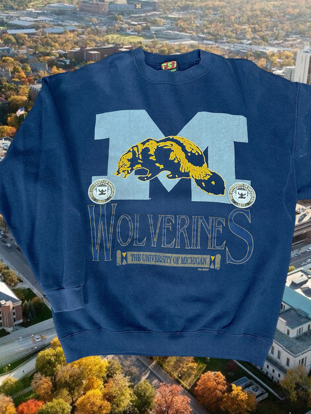 L - Vintage Michigan Wolverines Crewneck